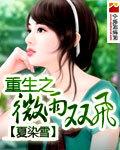 重生之微雨双飞全文免费阅读