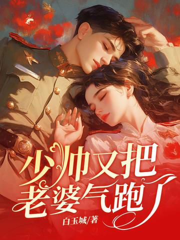 少帅你老婆又跑了又叫什么名字