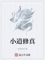 小道修真